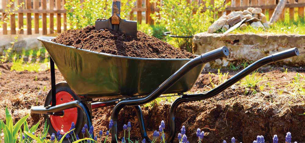 Tipos de abonos ecológicos y sus ventajas