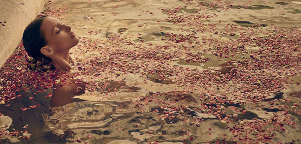 Descubre la experiencia Aveda